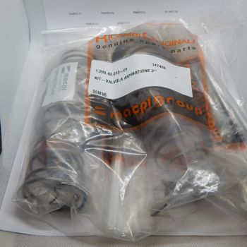1.200.40.013 комплект пружинных клапанов 01KIT-VALVOLA ASPIRAZIONE 2" (MACPI SPA)