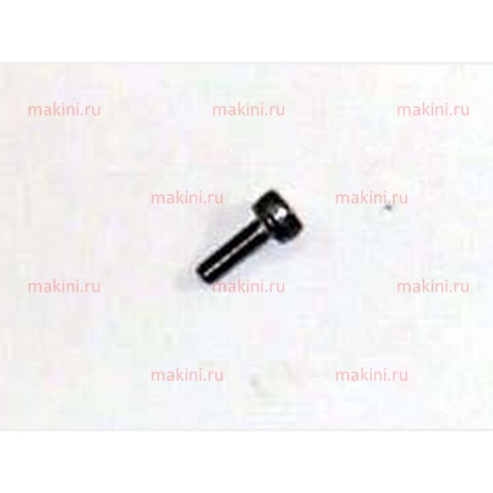 854500631 SCR M2X6MM SHCS ZN PL