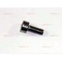 854500753 SCR M5X0.8 X 12 FHSCS