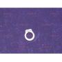 CR2-077